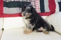 processed/dd84ca74-1644-4a16-b3c2-8b7fb8d7a7d7/listing/af0d4a72-ed32-427d-9b06-aaa4e87b7483/030890ba-746d-4a61-b442-e88a84bbfb4b