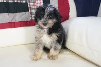 processed/dd84ca74-1644-4a16-b3c2-8b7fb8d7a7d7/listing/af0d4a72-ed32-427d-9b06-aaa4e87b7483/274494a9-45d0-4115-8b48-d583749cd685