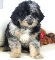 processed/dd84ca74-1644-4a16-b3c2-8b7fb8d7a7d7/listing/af0d4a72-ed32-427d-9b06-aaa4e87b7483/4eb40fad-e0ec-40ca-94cb-e8d4ed0c12a4