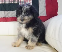 processed/dd84ca74-1644-4a16-b3c2-8b7fb8d7a7d7/listing/af0d4a72-ed32-427d-9b06-aaa4e87b7483/72f52177-ade5-4d79-a640-13cf6eeddf70