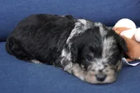 processed/dd84ca74-1644-4a16-b3c2-8b7fb8d7a7d7/listing/af0d4a72-ed32-427d-9b06-aaa4e87b7483/9975933b-ab29-4ce0-b80f-194cfb6e8721