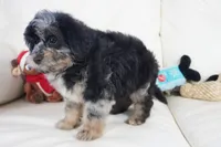 processed/dd84ca74-1644-4a16-b3c2-8b7fb8d7a7d7/listing/af0d4a72-ed32-427d-9b06-aaa4e87b7483/aa47640e-1381-4174-9c1a-a956cfc19ec0