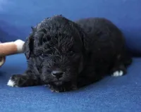 processed/dd84ca74-1644-4a16-b3c2-8b7fb8d7a7d7/listing/b0e92e7c-3051-492f-8cd7-89fa6de7b964/267bf800-4691-4e07-98a4-a1c7151a18e9