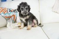 processed/dd84ca74-1644-4a16-b3c2-8b7fb8d7a7d7/listing/b0e92e7c-3051-492f-8cd7-89fa6de7b964/3f0f22f1-a6d0-4f4f-909d-77c3d9d5a68a