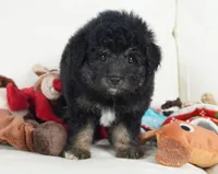 processed/dd84ca74-1644-4a16-b3c2-8b7fb8d7a7d7/listing/b0e92e7c-3051-492f-8cd7-89fa6de7b964/4fc73ff5-f1fa-440a-85d3-05f2cdc62492