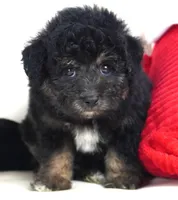 processed/dd84ca74-1644-4a16-b3c2-8b7fb8d7a7d7/listing/b0e92e7c-3051-492f-8cd7-89fa6de7b964/5dd68d91-8a25-421e-8553-d7eb8769840f