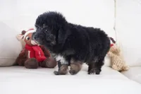 processed/dd84ca74-1644-4a16-b3c2-8b7fb8d7a7d7/listing/b0e92e7c-3051-492f-8cd7-89fa6de7b964/6bcba3ac-c9f1-4b1c-9d78-50e88e9f74f7