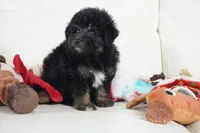 processed/dd84ca74-1644-4a16-b3c2-8b7fb8d7a7d7/listing/b0e92e7c-3051-492f-8cd7-89fa6de7b964/74308e23-609b-4291-bb76-642cfe8525df