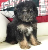 processed/dd84ca74-1644-4a16-b3c2-8b7fb8d7a7d7/listing/b0e92e7c-3051-492f-8cd7-89fa6de7b964/80802f06-d68f-498c-8f7c-9174343eb706