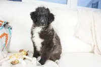 processed/dd84ca74-1644-4a16-b3c2-8b7fb8d7a7d7/listing/fba2060d-83c2-4685-90e9-5af67e94251e/0b2f00c4-eabe-44e1-998a-b185cda90f28