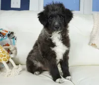 processed/dd84ca74-1644-4a16-b3c2-8b7fb8d7a7d7/listing/fba2060d-83c2-4685-90e9-5af67e94251e/2597768f-ce94-452a-9f8b-b1be291ef94e