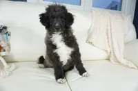 processed/dd84ca74-1644-4a16-b3c2-8b7fb8d7a7d7/listing/fba2060d-83c2-4685-90e9-5af67e94251e/4bb29c6f-57f3-4f13-83ce-c33ee74f091c