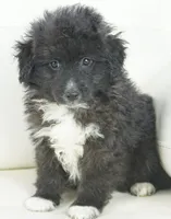 processed/dd84ca74-1644-4a16-b3c2-8b7fb8d7a7d7/listing/fba2060d-83c2-4685-90e9-5af67e94251e/5bee2d9f-c675-477a-b5ae-364d97c55f1f