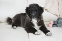 processed/dd84ca74-1644-4a16-b3c2-8b7fb8d7a7d7/listing/fba2060d-83c2-4685-90e9-5af67e94251e/b5da8f8c-3cdc-49d5-81ca-f4cf4df41410