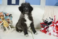 processed/dd84ca74-1644-4a16-b3c2-8b7fb8d7a7d7/listing/fba2060d-83c2-4685-90e9-5af67e94251e/e6f3ee1d-bf97-4ce7-8e28-262deaa8e604