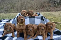 processed/dd8b920d-2a0a-45bf-a43d-ca7bb5919f1c/listing/02ed9086-71ce-4168-a5e1-f6ba554561b2/64f86175-101d-45ad-a012-f835978f6199