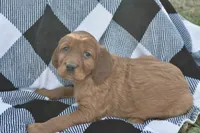 processed/dd8b920d-2a0a-45bf-a43d-ca7bb5919f1c/listing/02ed9086-71ce-4168-a5e1-f6ba554561b2/866d0415-cb9d-4079-a246-cb3215fc1115