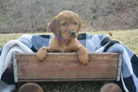 processed/dd8b920d-2a0a-45bf-a43d-ca7bb5919f1c/listing/10c7698a-55e0-4df2-8e60-581ae6936563/54c66cf7-02db-4282-b55b-793950583b86