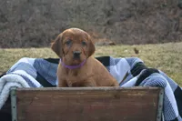 processed/dd8b920d-2a0a-45bf-a43d-ca7bb5919f1c/listing/10c7698a-55e0-4df2-8e60-581ae6936563/dfe231e5-c7ac-404b-a933-1ce8494c8255