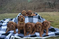 processed/dd8b920d-2a0a-45bf-a43d-ca7bb5919f1c/listing/10c7698a-55e0-4df2-8e60-581ae6936563/e79e7eae-50b7-43a9-97ce-965d8e8b8ebc