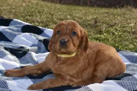 processed/dd8b920d-2a0a-45bf-a43d-ca7bb5919f1c/listing/375fc6f0-945a-4194-9465-3e5d604c9c1c/22bdcbdd-1899-40c4-8596-d8c02716cfd4