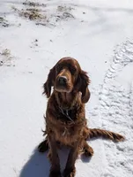 processed/dd8b920d-2a0a-45bf-a43d-ca7bb5919f1c/listing/375fc6f0-945a-4194-9465-3e5d604c9c1c/3235839c-82dc-4865-a6dd-a49063ec1626