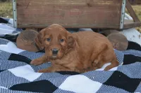 processed/dd8b920d-2a0a-45bf-a43d-ca7bb5919f1c/listing/b7b5f3f9-231b-4dad-98e9-548188b0b44c/e86212b1-e594-47df-bd8f-e3b405ed9f20