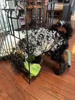 processed/dd910826-4f53-4efb-ba0a-8776acd24600/listing/8e881000-663f-4d7a-827f-72d298a1fd14/3849cd0d-dcc7-4a92-93c8-fedd6909b917