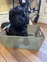 processed/dd910826-4f53-4efb-ba0a-8776acd24600/listing/8e881000-663f-4d7a-827f-72d298a1fd14/56b9eab5-f145-4a45-9b48-94d51f7e677c