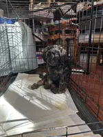 processed/dd910826-4f53-4efb-ba0a-8776acd24600/listing/8e881000-663f-4d7a-827f-72d298a1fd14/e64f7411-fcfa-468f-a78c-576530f209dc