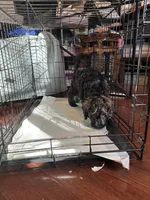 processed/dd910826-4f53-4efb-ba0a-8776acd24600/listing/8e881000-663f-4d7a-827f-72d298a1fd14/ecb45c1f-8a84-4e74-981f-0153535b71b9