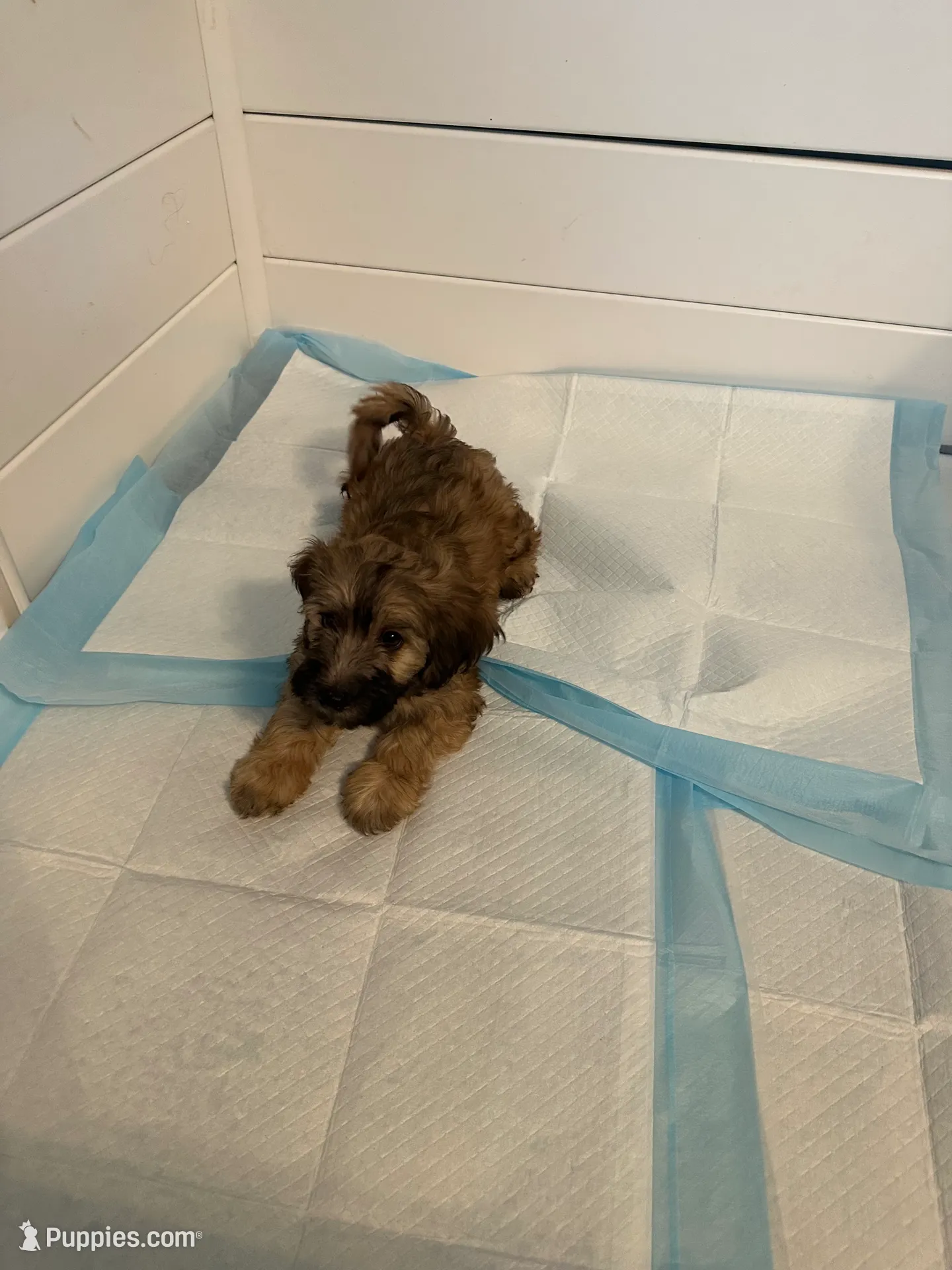 processed/dd910826-4f53-4efb-ba0a-8776acd24600/listing/ea54b46b-4d18-4f5c-a2f8-403cdbc7cdc7/2e5f60fb-f828-46bb-9e5b-1cc6fe4d98fe