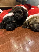 processed/dd910826-4f53-4efb-ba0a-8776acd24600/listing/ea54b46b-4d18-4f5c-a2f8-403cdbc7cdc7/5717e5bc-02b3-4ef7-8ad2-f675c4f15223