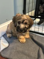 processed/dd910826-4f53-4efb-ba0a-8776acd24600/listing/ea54b46b-4d18-4f5c-a2f8-403cdbc7cdc7/878f183f-cb91-46bb-beae-a9ab676c1ab0