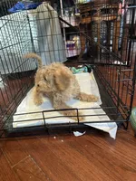 processed/dd910826-4f53-4efb-ba0a-8776acd24600/listing/f38c9fb1-9036-4ff5-967e-b5256a1992a5/6f4f32b2-bf66-4f94-8153-73ee1fa52b08