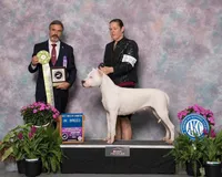 processed/dd9a42d7-e6dc-4658-a227-cc361c4999f8/listing/352ab54b-1b29-4451-bc5d-9ac34ae1bf58/4af6e81c-e6f7-4a94-aac6-8f589a220105