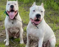 processed/dd9a42d7-e6dc-4658-a227-cc361c4999f8/listing/352ab54b-1b29-4451-bc5d-9ac34ae1bf58/6b96e542-7761-416a-b9b0-934a2fbca265