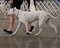 processed/dd9a42d7-e6dc-4658-a227-cc361c4999f8/listing/352ab54b-1b29-4451-bc5d-9ac34ae1bf58/b6b22b6a-94ad-4169-9295-6942d5ca7477