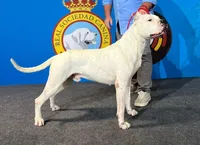 processed/dd9a42d7-e6dc-4658-a227-cc361c4999f8/listing/35c5dcc6-a81b-43d1-a52e-237a848793e3/0316ceb3-0819-4a1a-89c8-566fd73dcc98