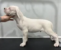 processed/dd9a42d7-e6dc-4658-a227-cc361c4999f8/listing/35c5dcc6-a81b-43d1-a52e-237a848793e3/096be443-fd7a-46ff-b151-05eaecefb771