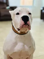 processed/dd9a42d7-e6dc-4658-a227-cc361c4999f8/listing/35c5dcc6-a81b-43d1-a52e-237a848793e3/1e787d5e-3a26-4576-8123-f1dd6b098af2