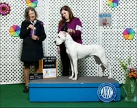 processed/dd9a42d7-e6dc-4658-a227-cc361c4999f8/listing/35c5dcc6-a81b-43d1-a52e-237a848793e3/24a2ab04-f055-4a63-baf8-212436f16aef