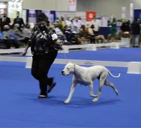 processed/dd9a42d7-e6dc-4658-a227-cc361c4999f8/listing/35c5dcc6-a81b-43d1-a52e-237a848793e3/6e7f2c8b-2abe-4909-b531-2cc7de91a905