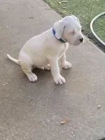 processed/dd9a42d7-e6dc-4658-a227-cc361c4999f8/listing/35c5dcc6-a81b-43d1-a52e-237a848793e3/732ef8b0-fb73-4301-9845-26d072289af5