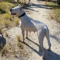 processed/dd9a42d7-e6dc-4658-a227-cc361c4999f8/listing/35c5dcc6-a81b-43d1-a52e-237a848793e3/78fc2cb0-bbd0-4ada-9bf6-536e7e32035f