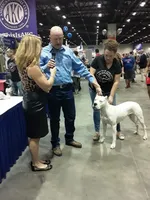 processed/dd9a42d7-e6dc-4658-a227-cc361c4999f8/listing/35c5dcc6-a81b-43d1-a52e-237a848793e3/b02659f5-9ba5-4b0b-a491-15d05c0a3367