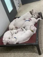 processed/dd9a42d7-e6dc-4658-a227-cc361c4999f8/listing/35c5dcc6-a81b-43d1-a52e-237a848793e3/f5fc1d81-65af-49c3-bb36-a9a9b23b6774