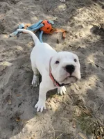 processed/dd9a42d7-e6dc-4658-a227-cc361c4999f8/listing/8a12466a-5a3b-4b72-b0fc-79d258f55f24/b8b486bf-7491-4031-9da7-bcf9e91e0d99