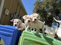 processed/dd9a42d7-e6dc-4658-a227-cc361c4999f8/listing/8a12466a-5a3b-4b72-b0fc-79d258f55f24/f885b6cd-e114-4e1b-b5bd-481702fce528