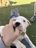 processed/dd9a42d7-e6dc-4658-a227-cc361c4999f8/listing/e6213552-94c9-4500-acb3-d3963a8e371a/1838e3a1-b69a-4610-b1e1-faa7f21a8a30